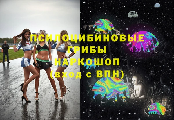соль ск Алексин