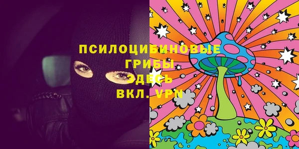 соль ск Алексин