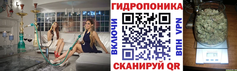 Шишки марихуана гибрид Сортавала